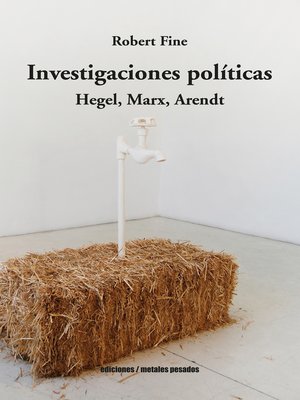 cover image of Investigaciones políticas